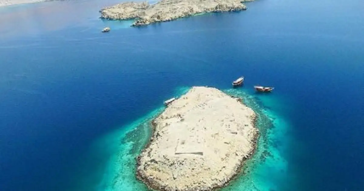 Half Day Dhow Cruise from Musandam Border