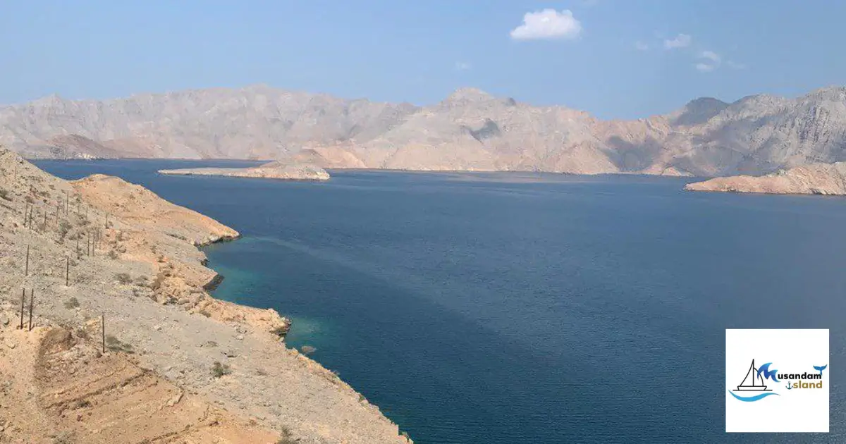 Unforgettable Memories on an Overnight Dhow Cruise Musandam