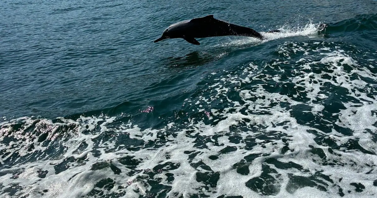 What are the Best Seasonal Activities in Musandam