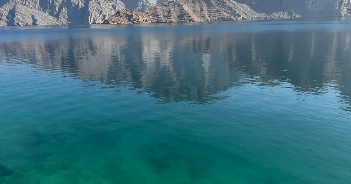 What to Expect in January and February