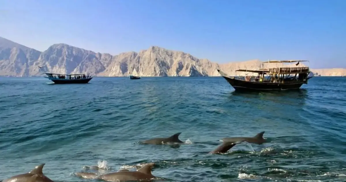 Dolphin cruise services In Musandam Khasab
