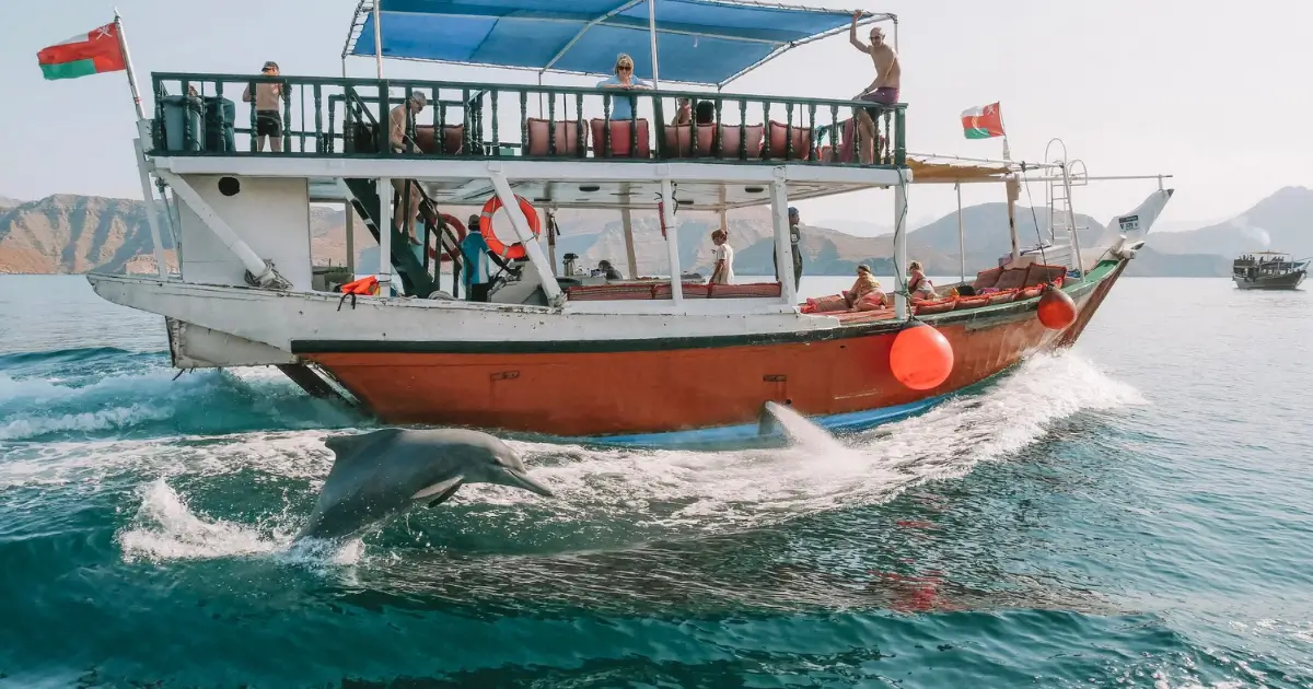 How Dolphin Watching Works in Musandam