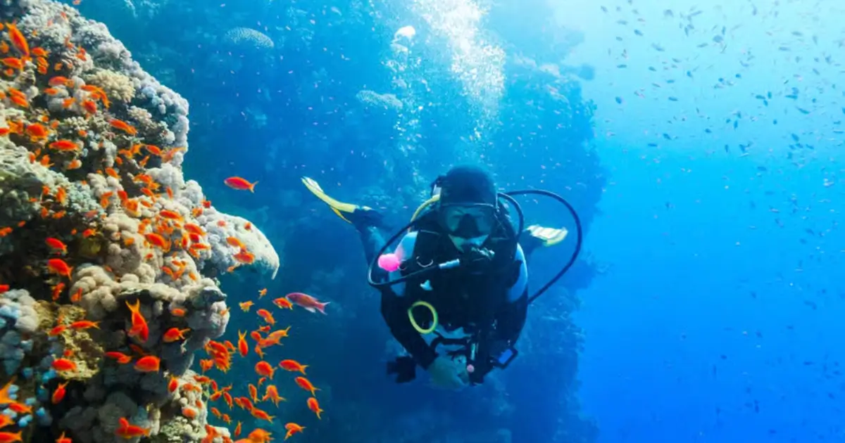 Snorkeling in Telegraph Island