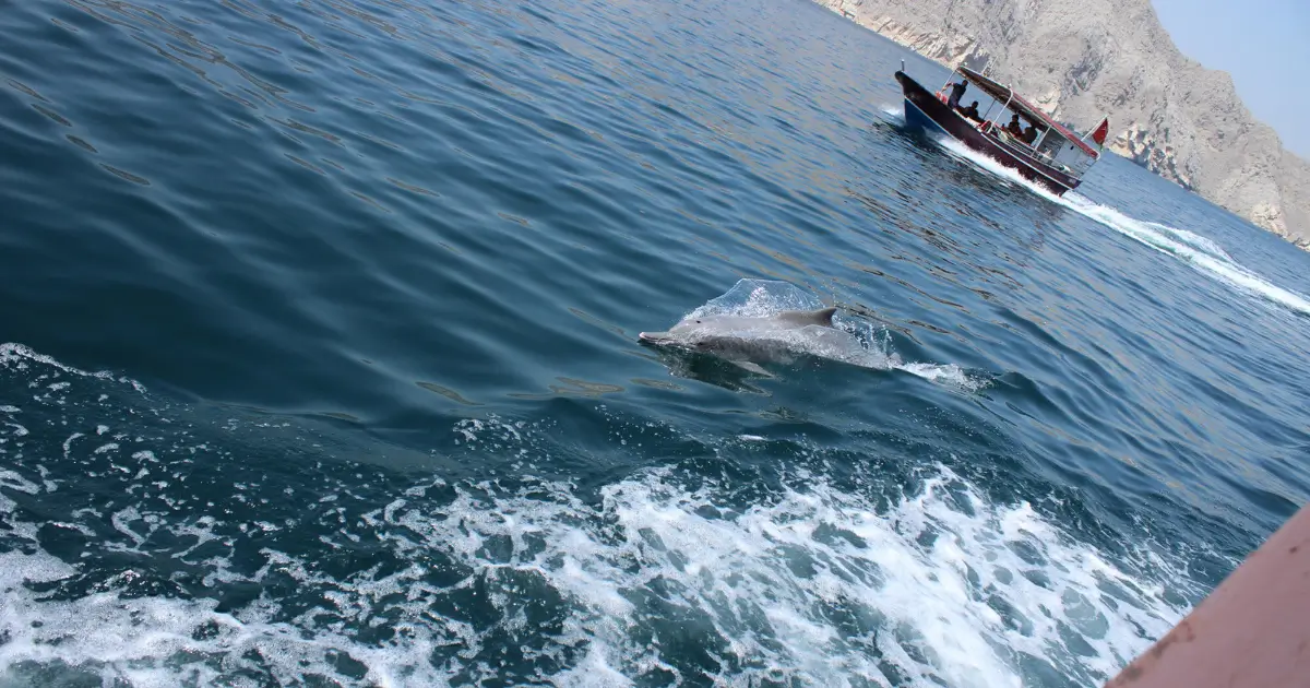 Travel Tips for Visiting Seebi Island