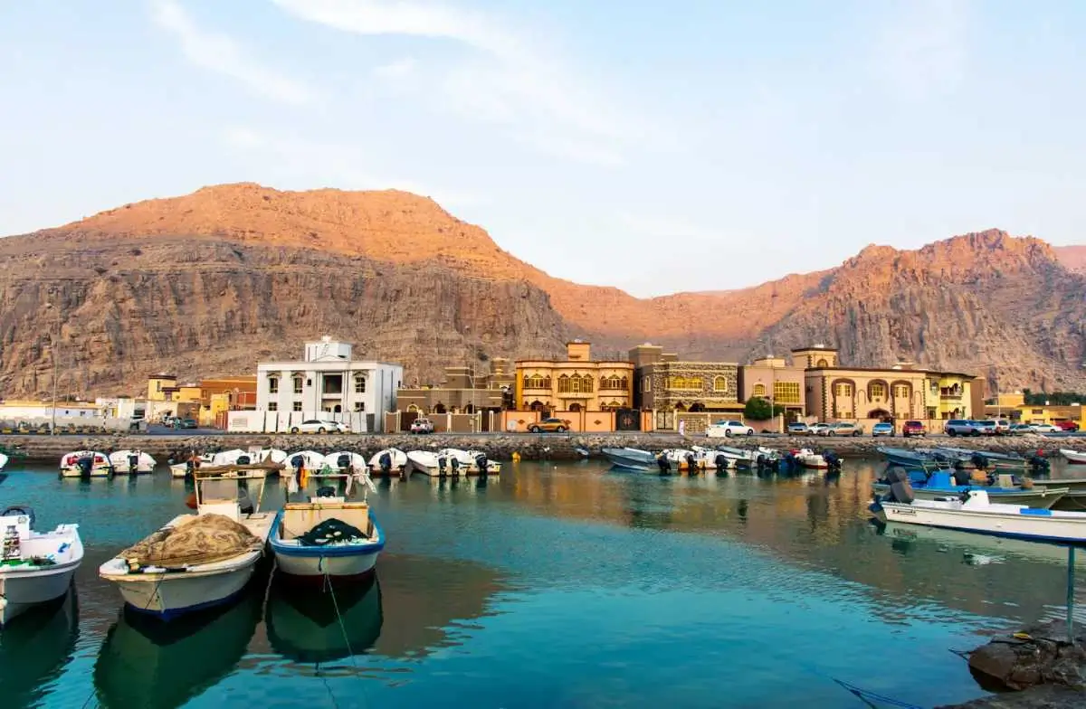 What Marine Life You’ll See While Snorkeling in Musandam