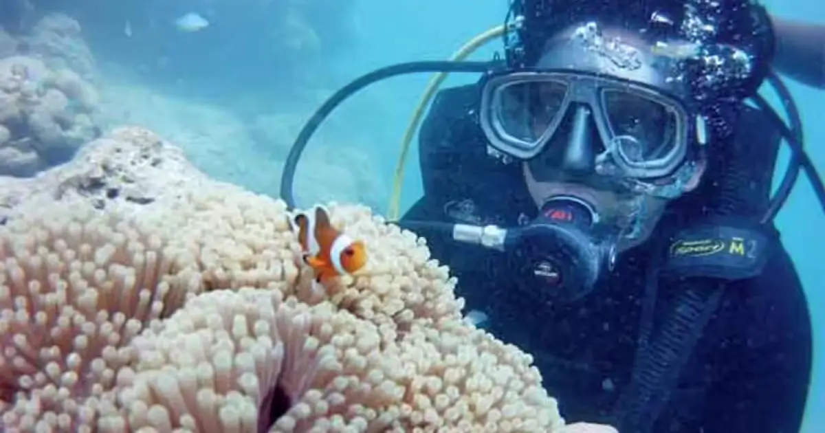 What Makes Explore Kumzar a Marine Adventure Beyond the Ordinary